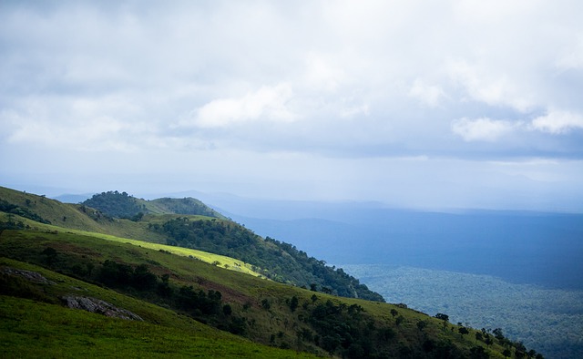 这种数据驱 这种数据驱