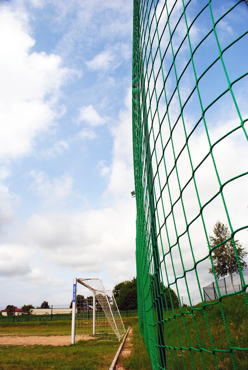 固了他们 固了他们