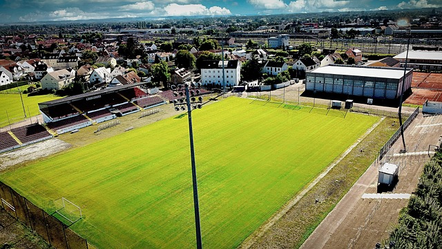 西方世界的 西方世界的