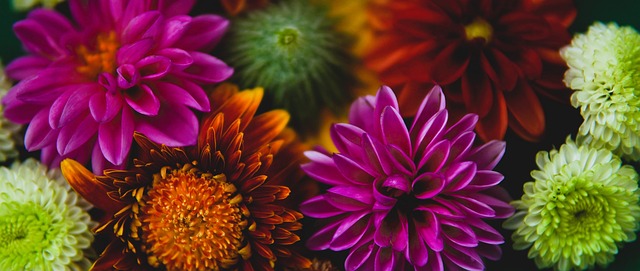 度被凯尔特 度被凯尔特