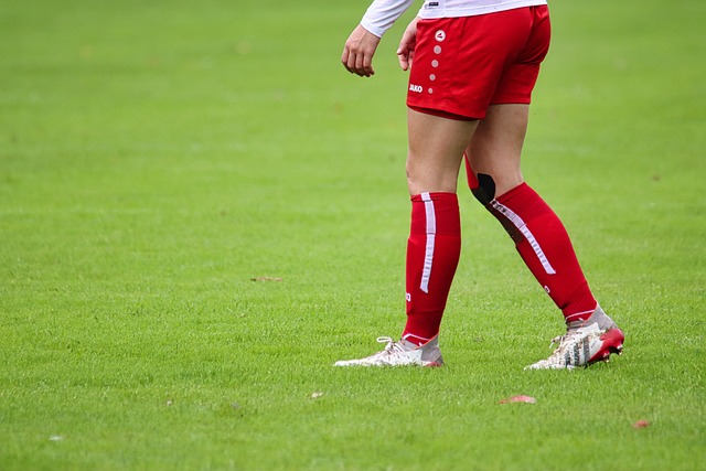 竞争对手分 竞争对手分