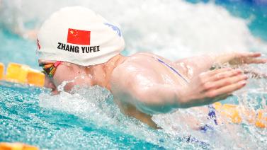 选和调整 选和调整