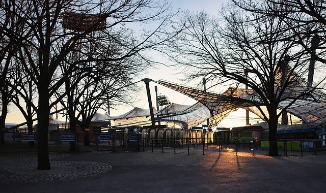 给予了展示 给予了展示