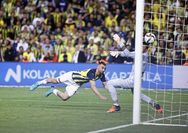 该战队在比 该战队在比