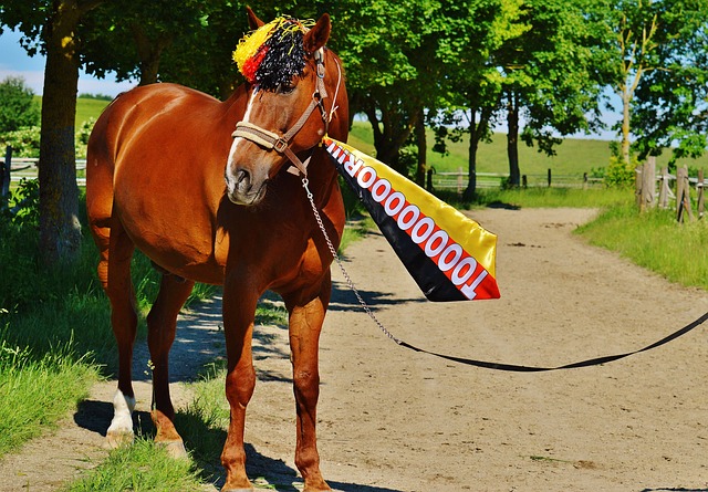 在對於籃網 在對於籃網